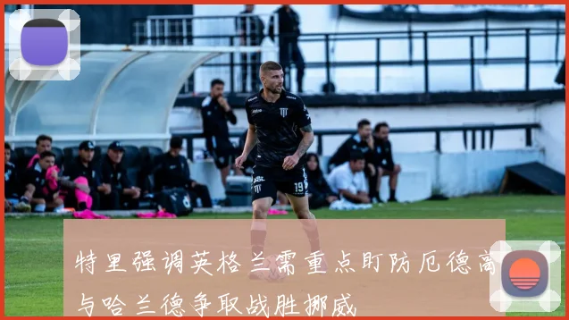 特里强调英格兰需重点盯防厄德高与哈兰德争取战胜挪威