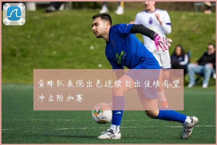 黄蜂队表现出色连续打出佳绩有望冲击附加赛