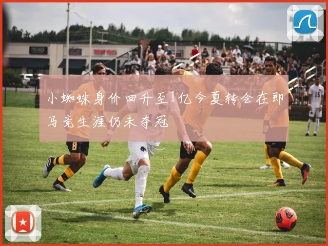 小蜘蛛身价回升至1亿今夏转会在即马竞生涯仍未夺冠