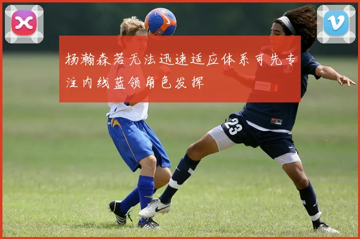 杨瀚森若无法迅速适应体系可先专注内线蓝领角色发挥