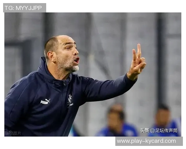 维埃里建议图多尔始终首发弗拉霍维奇以提升球队竞争力